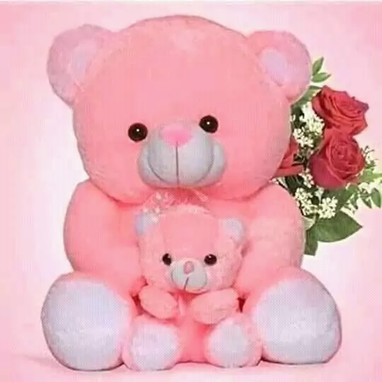 pink teddy bear images for whatsapp dp